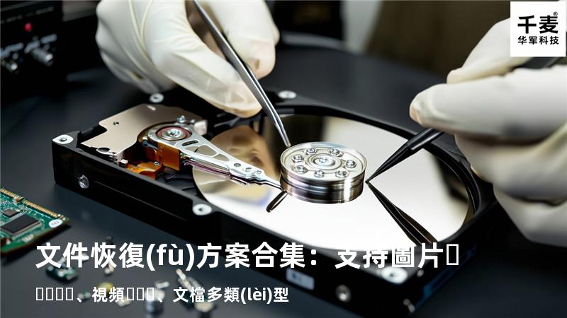文件恢復(fù)方案合集：支持圖片、視頻、文檔多類(lèi)型 